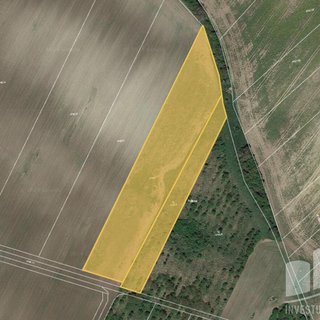 Prodej zemědělské půdy 2 413 m² Hustopeče