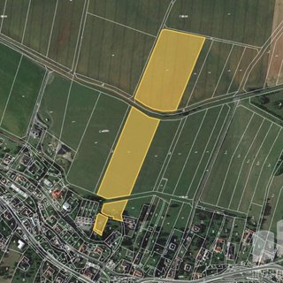 Prodej zemědělské půdy 1 329 m² Brodek u Konice
