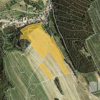 Prodej zemědělské půdy 36 655 m² Letovice