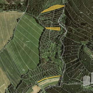 Prodej lesa 4 290 m² Letovice