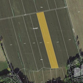 Prodej zemědělské půdy 6 064 m² Olešnice