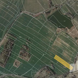 Prodej zemědělské půdy 3 197 m² Skuteč