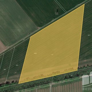 Prodej zemědělské půdy 6 089 m² Lednice