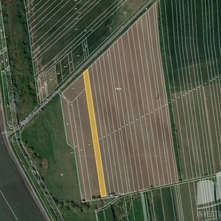 Prodej zemědělské půdy 2 647 m² Šakvice