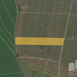 Prodej zemědělské půdy 5 551 m² Šárovcova Lhota