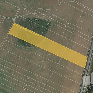 Prodej zemědělské půdy 1 509 m² Sentice