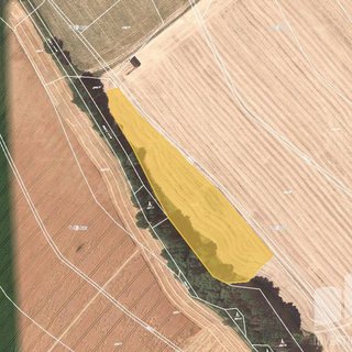 Prodej zemědělské půdy 9 419 m² Rapotín