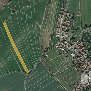 Prodej zemědělské půdy 6 393 m² Hřivice