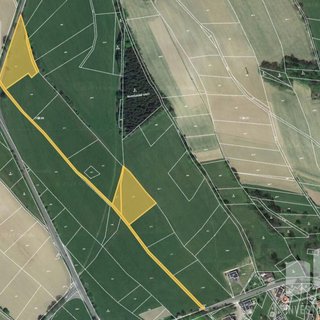 Prodej zemědělské půdy 9 633 m² Roprachtice