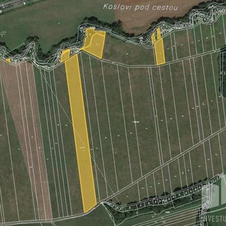 Prodej zemědělské půdy 13 644 m² Police