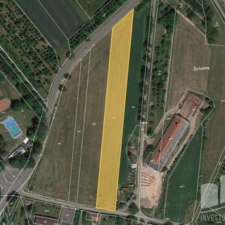 Prodej zemědělské půdy 6 900 m² Tučín