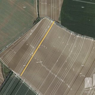 Prodej zemědělské půdy 1 181 m² Vracov