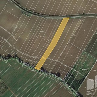 Prodej zemědělské půdy 4 859 m² Mutějovice
