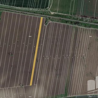 Prodej zemědělské půdy 3 823 m² Sokolnice