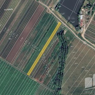 Prodej zemědělské půdy 1 653 m² Velké Bílovice