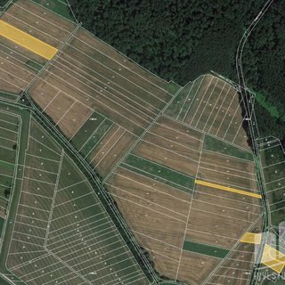 Prodej zemědělské půdy 1 096 m² Moravský Písek