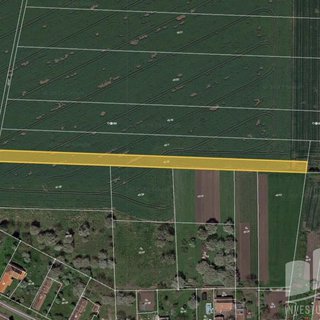 Prodej zemědělské půdy 3 545 m² Vinary