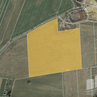 Prodej zemědělské půdy 68 166 m² Černíny