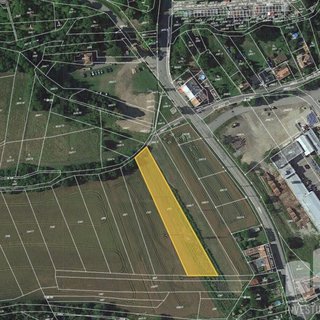 Prodej zemědělské půdy 3 875 m² Ptení