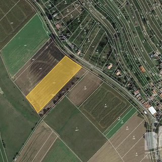 Prodej zemědělské půdy 1 121 m² Vlkoš