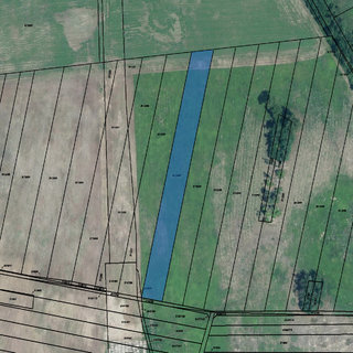 Prodej zemědělské půdy 1 320 m² Dubňany, 