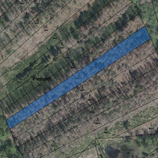 Prodej lesa 948 m² Děkanovice, 
