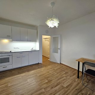 Pronájem bytu 1+1 38 m² Liberec, Hroznová