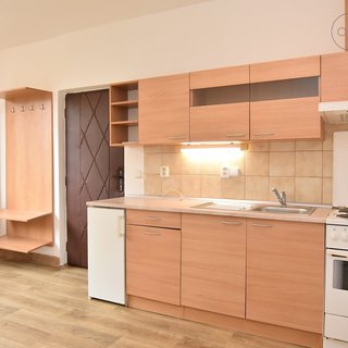 Pronájem bytu 1+kk a garzoniéry 19 m² Liberec, Sametová