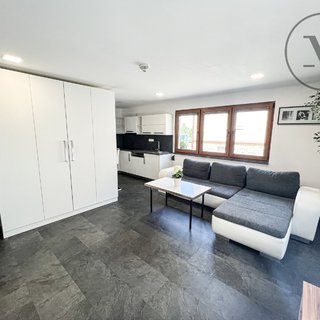 Pronájem bytu 1+kk a garsoniéry 47 m² Dobrá Voda u Českých Budějovic, Potoční