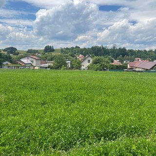 Prodej zemědělské půdy 9 879 m² na Slovensku