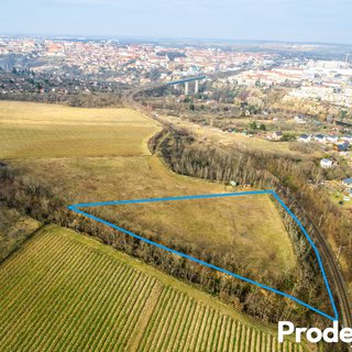 Prodej zemědělské půdy 7 123 m² Nový Šaldorf-Sedlešovice, 