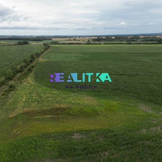 Prodej zemědělské půdy 2 068 m² Javorník, 