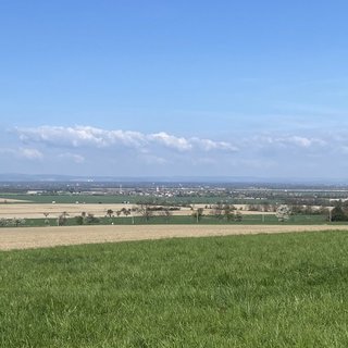 Prodej zemědělské půdy 63 782 m² Vojkovice
