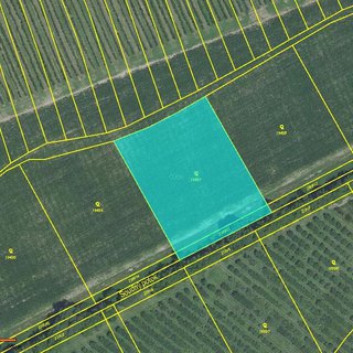 Prodej zemědělské půdy 1 299 m² Nechvalín, 